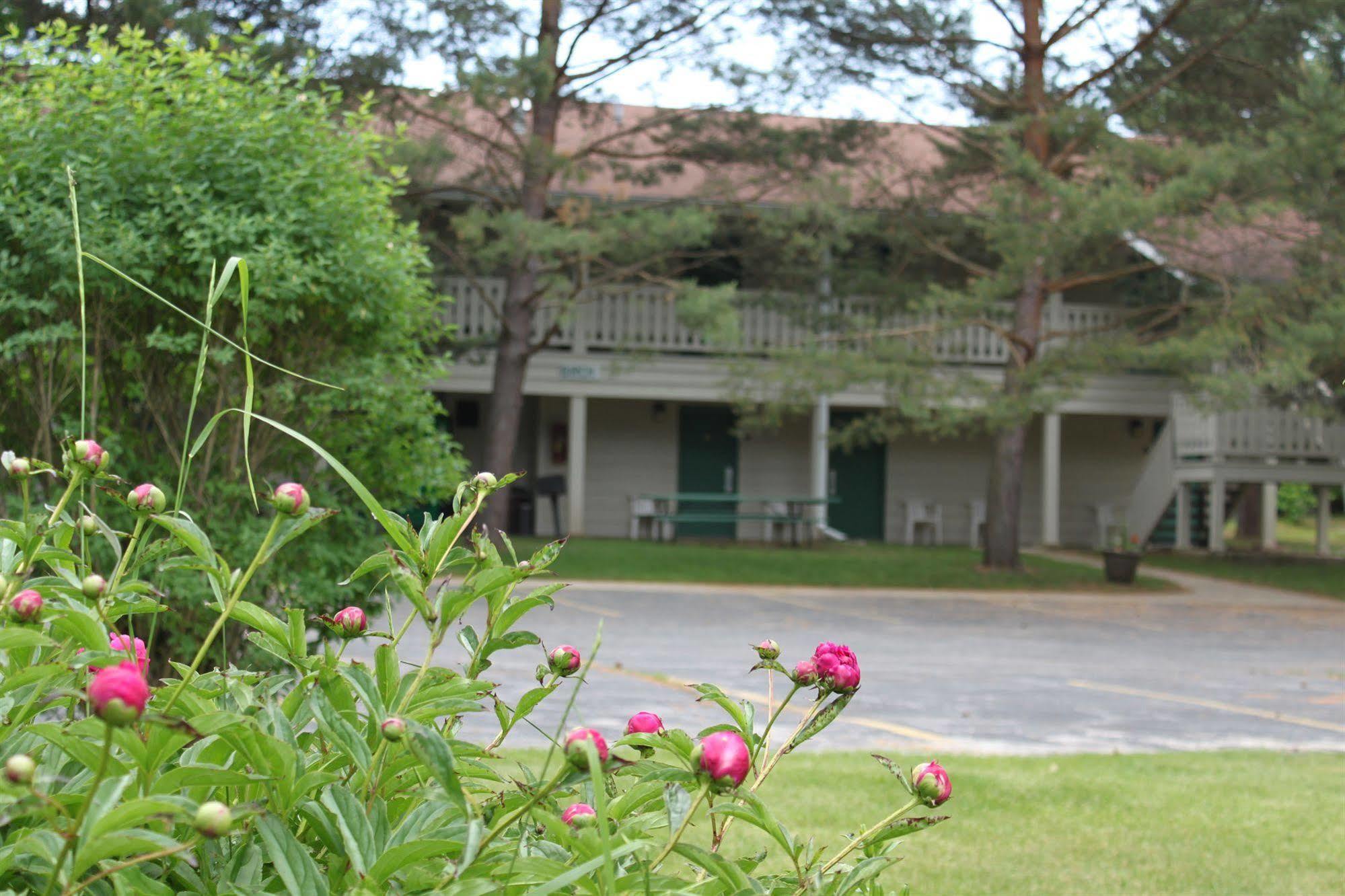 Parkwood Lodge Fish Creek Exteriör bild